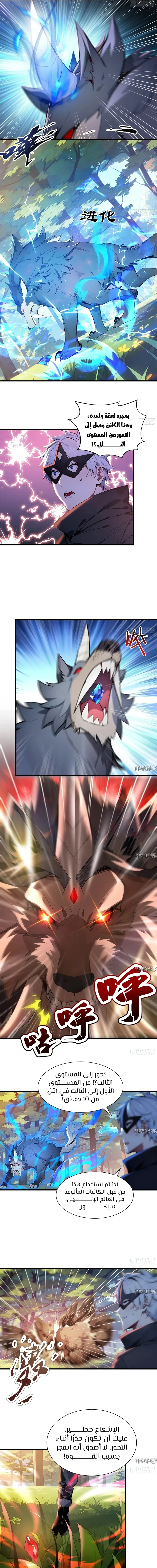 Chapter Image 5